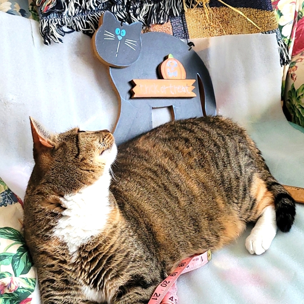 Halloween wooden kitty wall or door hanging (model, Blossom, not included!)